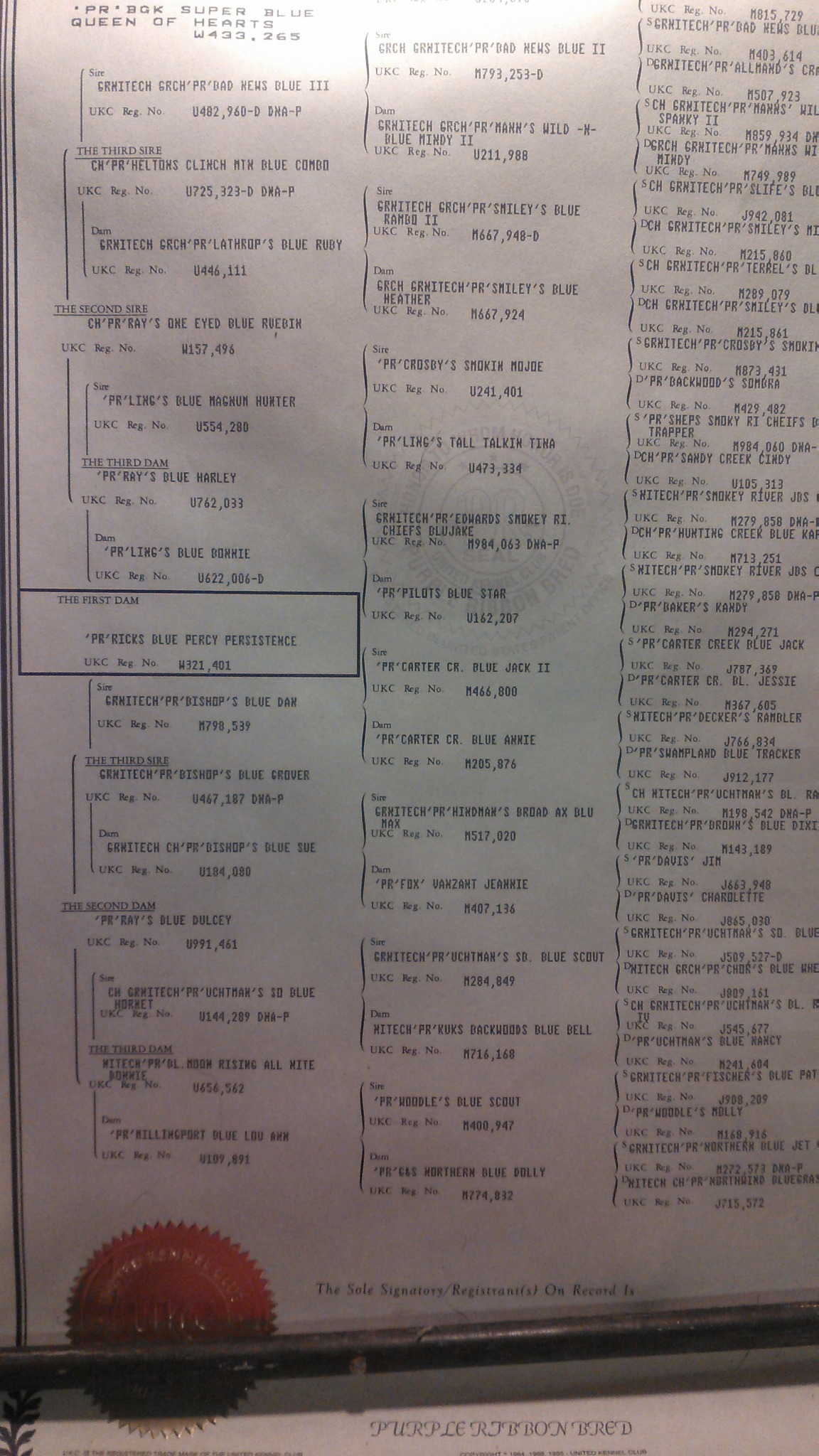 Queen pedigree page two